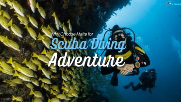 Scuba Diving Adventure—Why Choose Malta